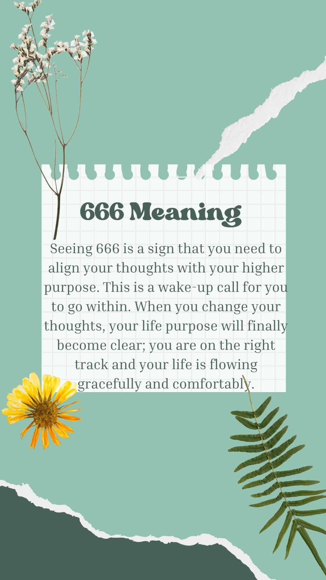 Seeing 66666