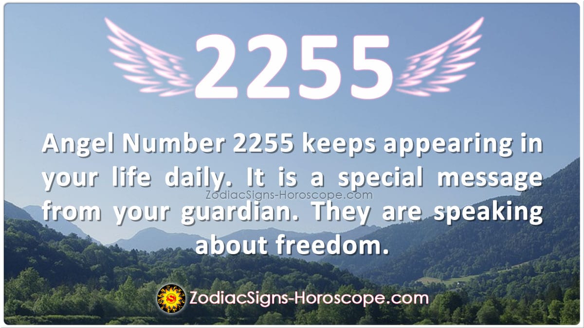 Symbolic Meaning Of 2255