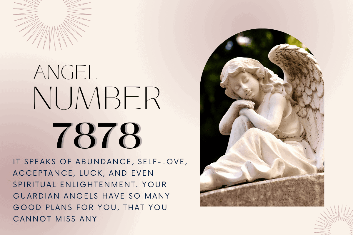 The Positive Meaning Of 878 Angel Number