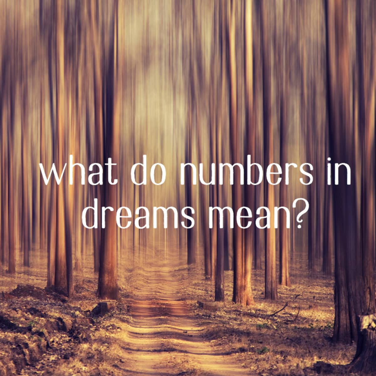 What Are Dreams?