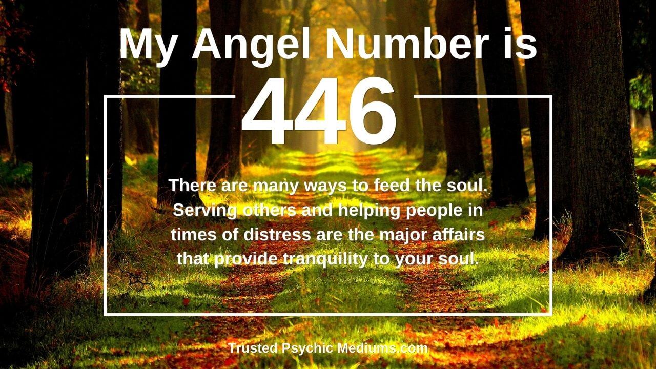 What Is Angel Number 446?