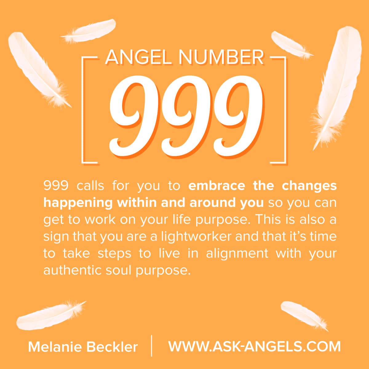 What Is The Meaning Of 99999?